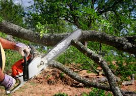 Best Lawn Irrigation Installation and Maintenance  in Genesee, CO